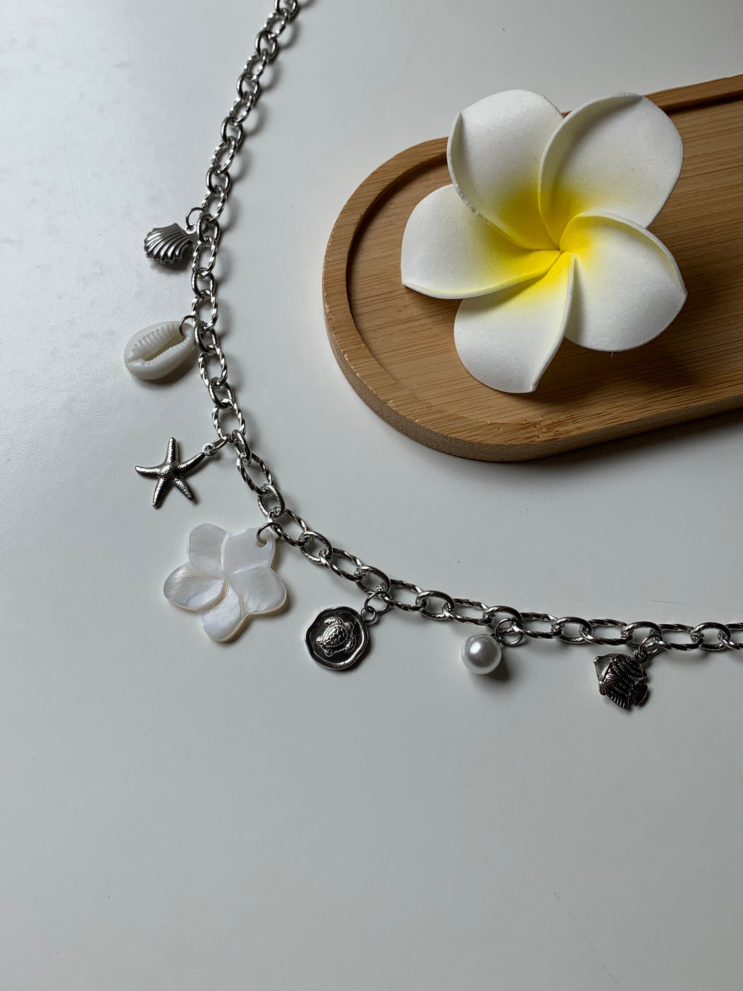 ZANZIBAR - Collier charms inoxydable