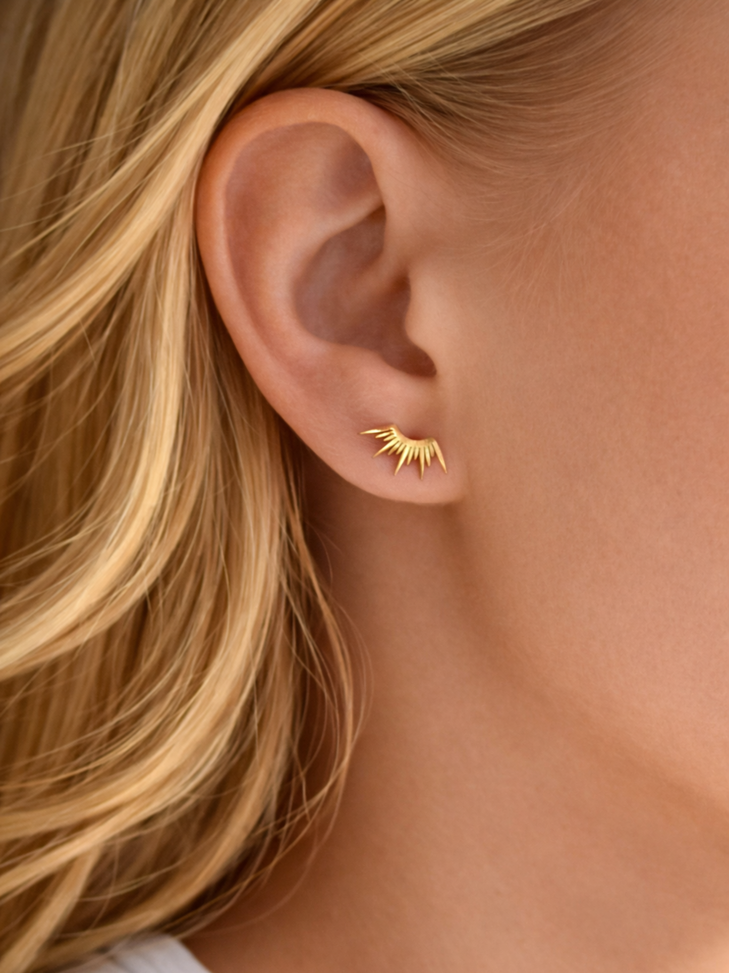 ASTRES - SOLEA l Puces inoxydables