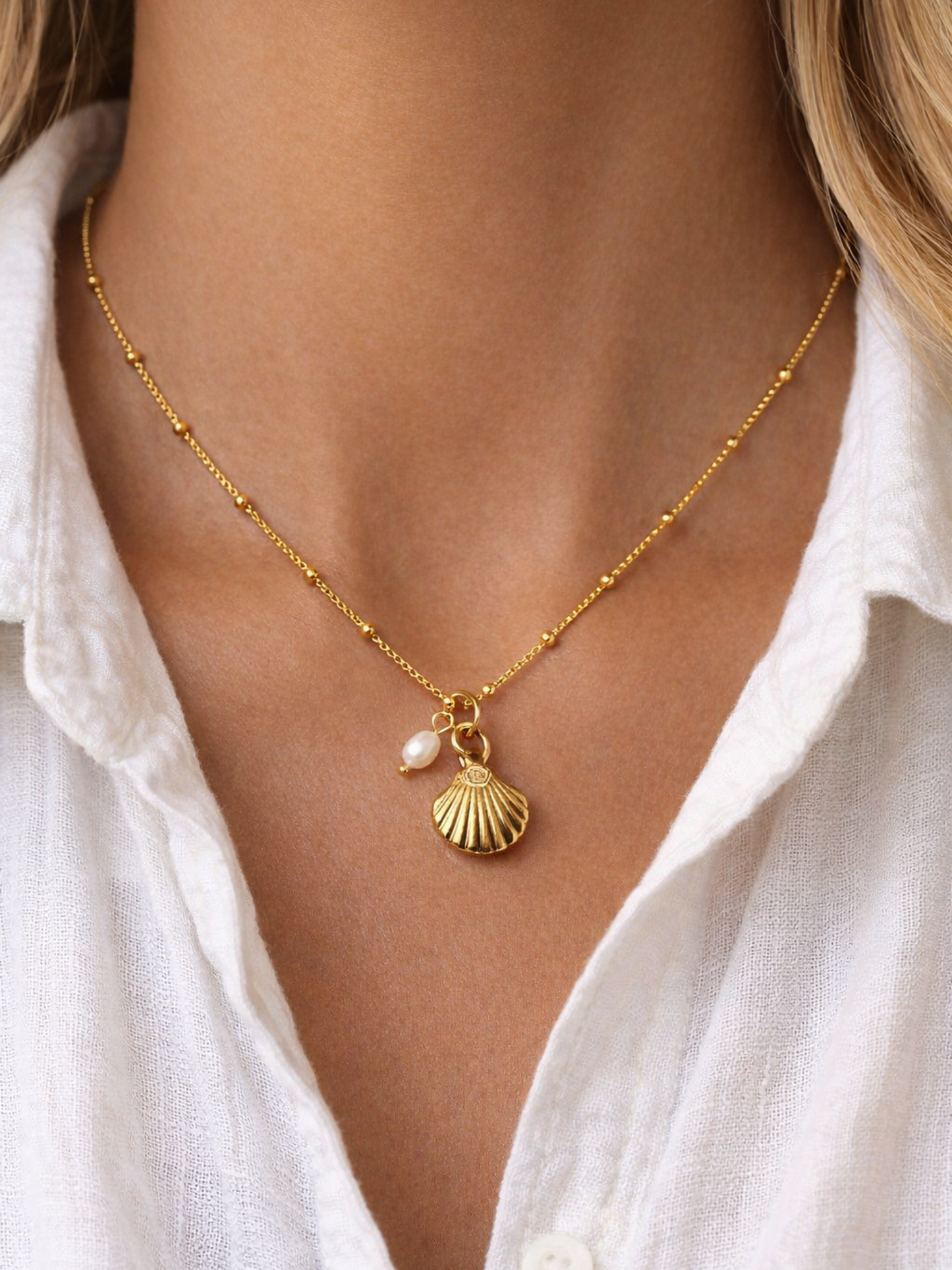 OCEAN MOOD - COQUILLAGE l Collier inoxydable