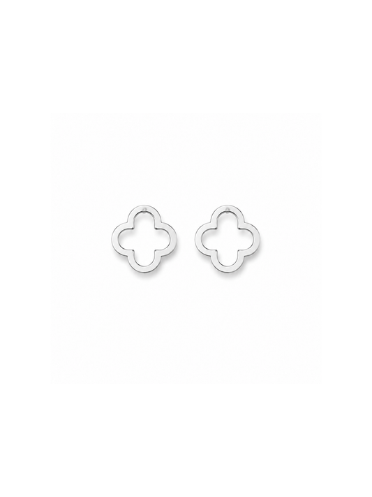 NEW l Boucles puces inoxydables