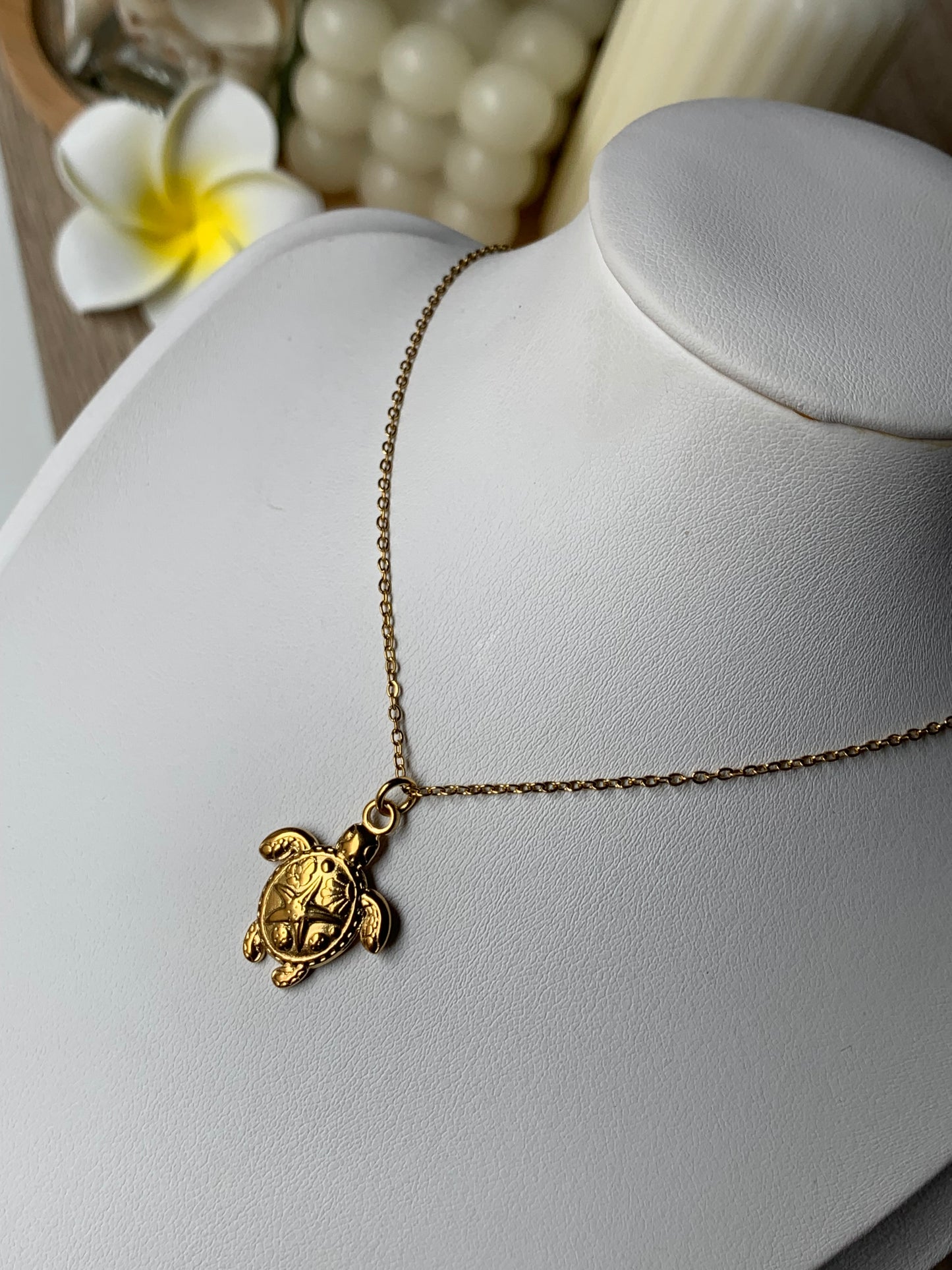 TURTLE l Collier inoxydable