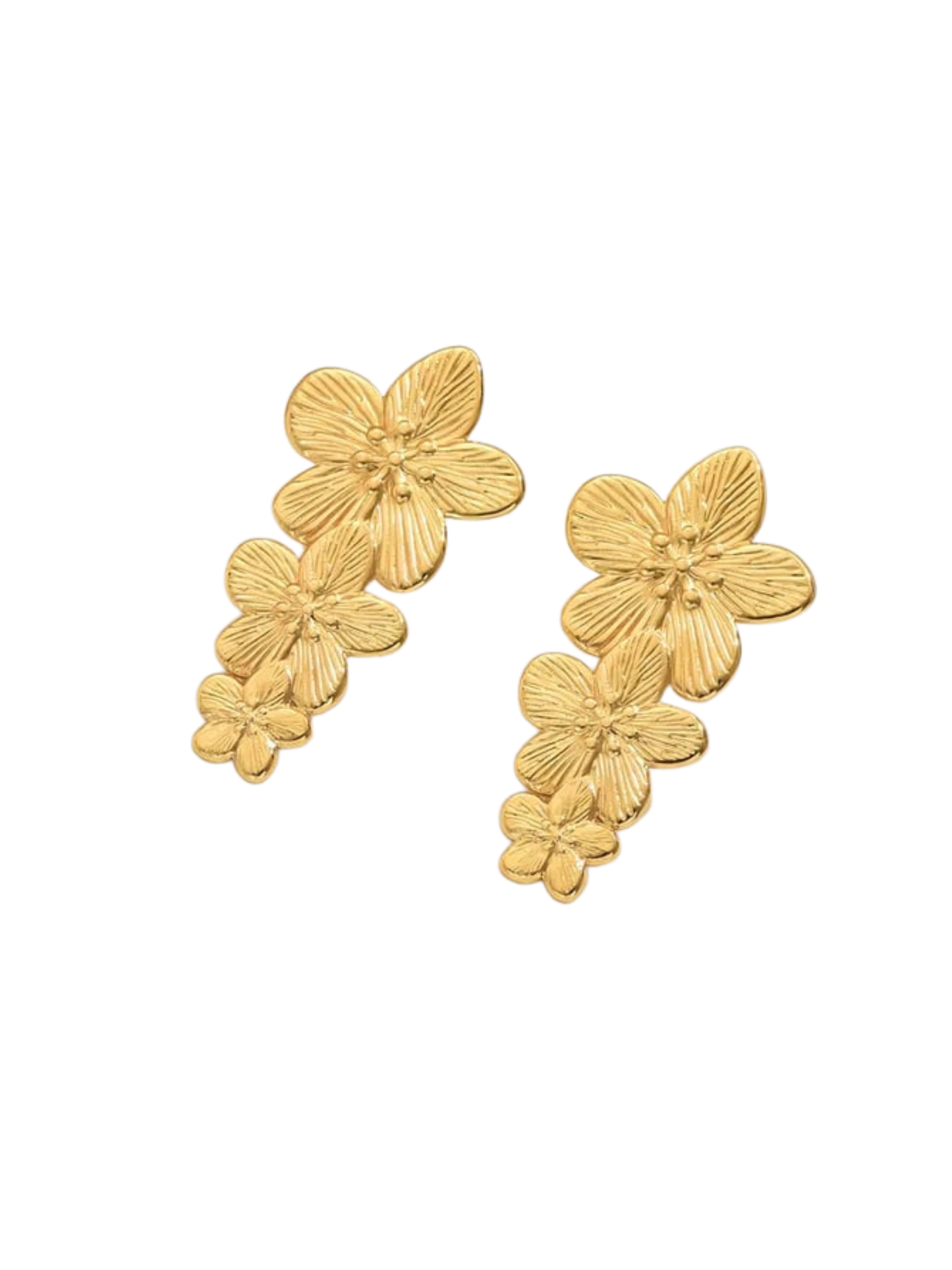 MOANA* l Boucles inoxydables