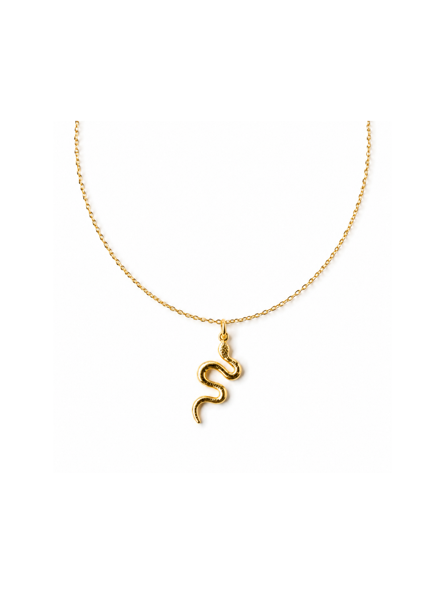 NEW l Collier inoxydable