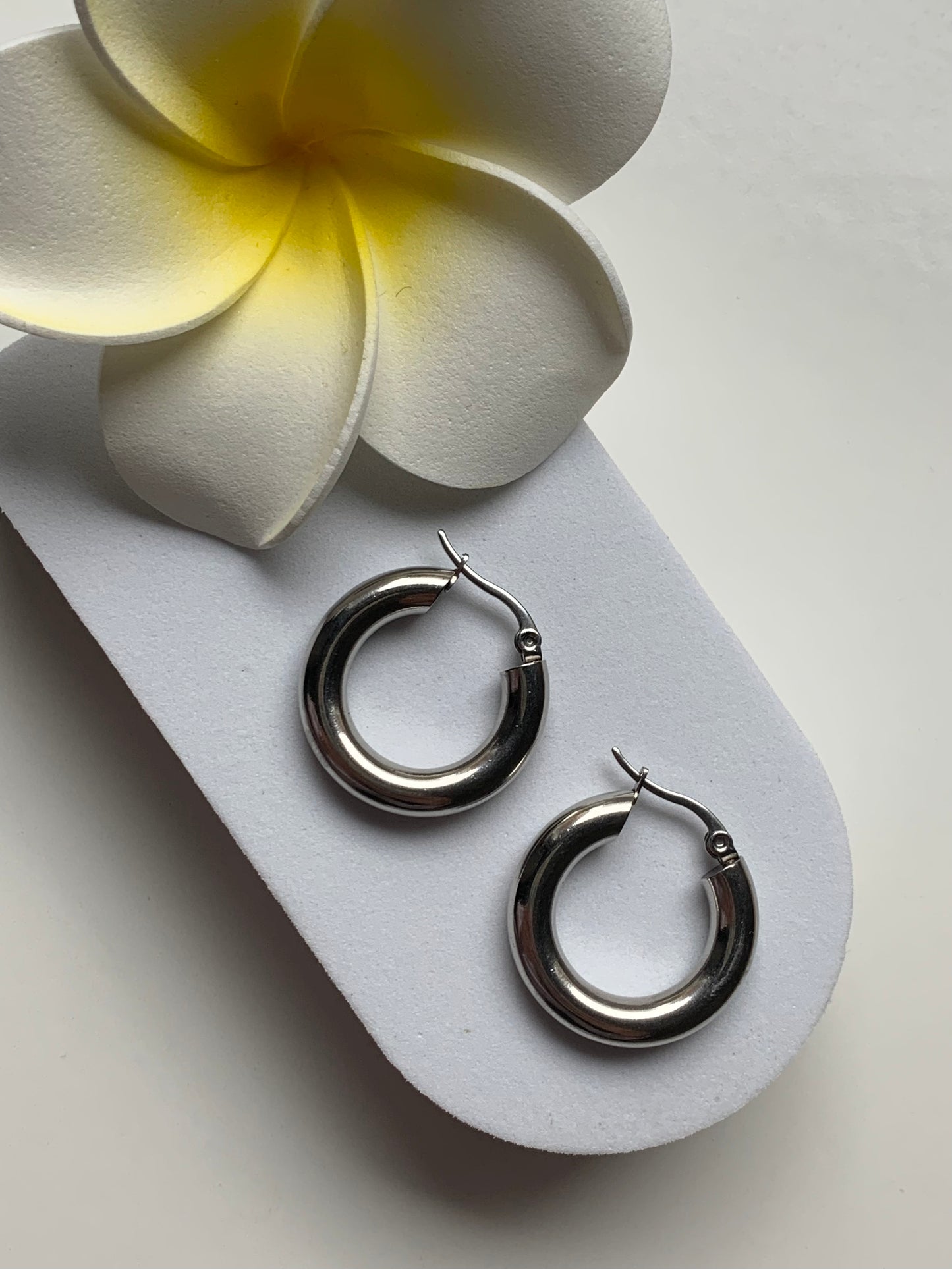 Boucles d’oreilles en acier inoxydable