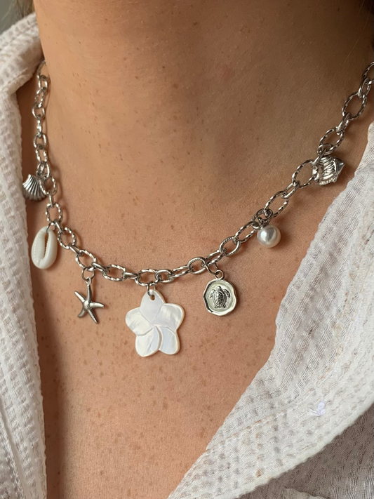 ZANZIBAR - Collier charms inoxydable