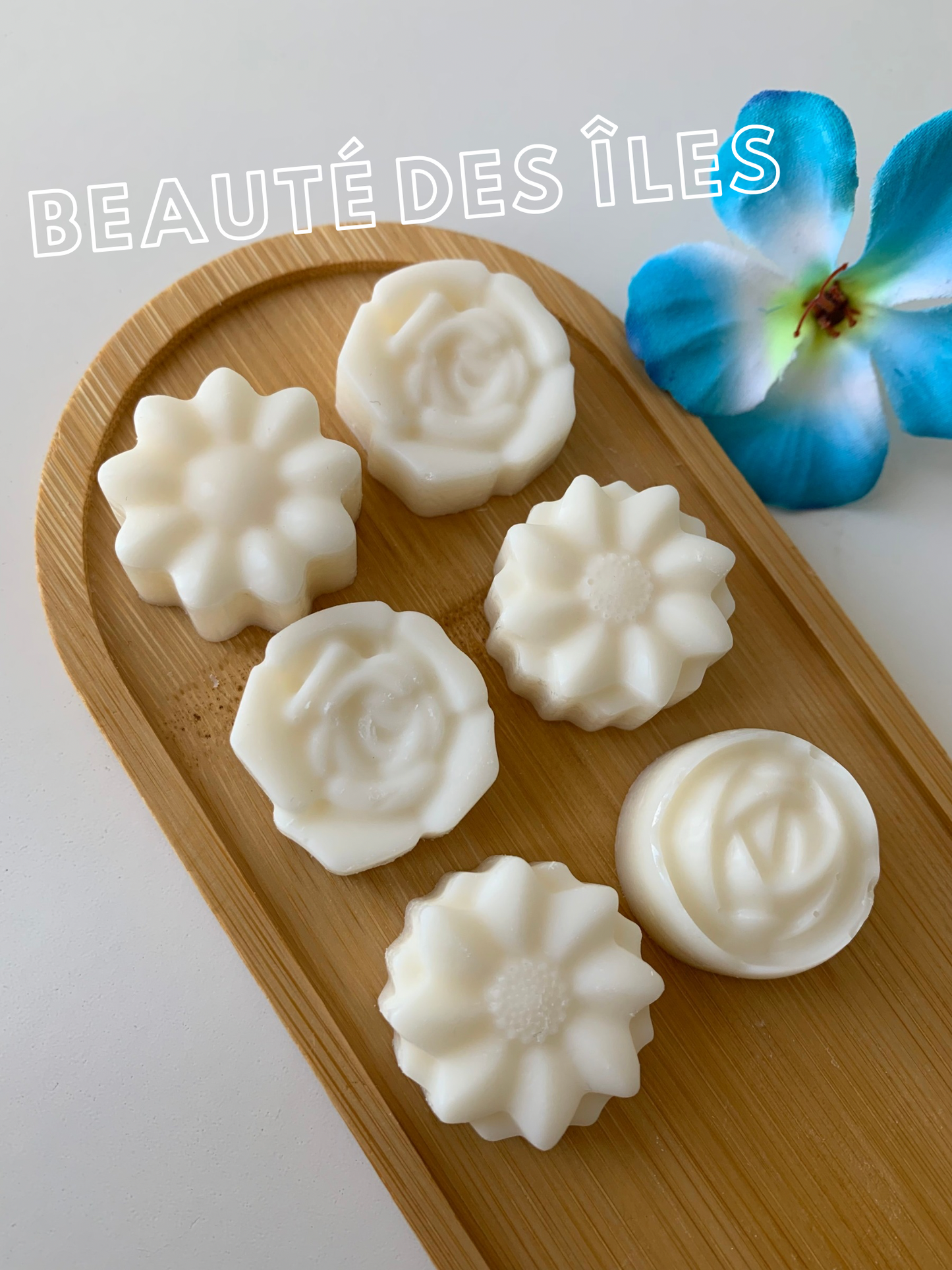 Beauté des îles - Fondant parfumé (plusieurs formes)