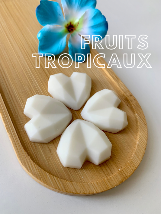 Fruits tropicaux - Fondant parfumé (plusieurs formes)